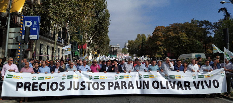 Masiva participación del cooperativismo agroalimentario andaluz en la manifestación en defensa del aceite de oliva en Madrid
