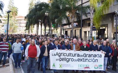 Más de 3.000 agricultores se movilizan en Motril para reclamar medidas estructurales urgentes frente a la crisis de rentabilidad del sector hortofrutícola