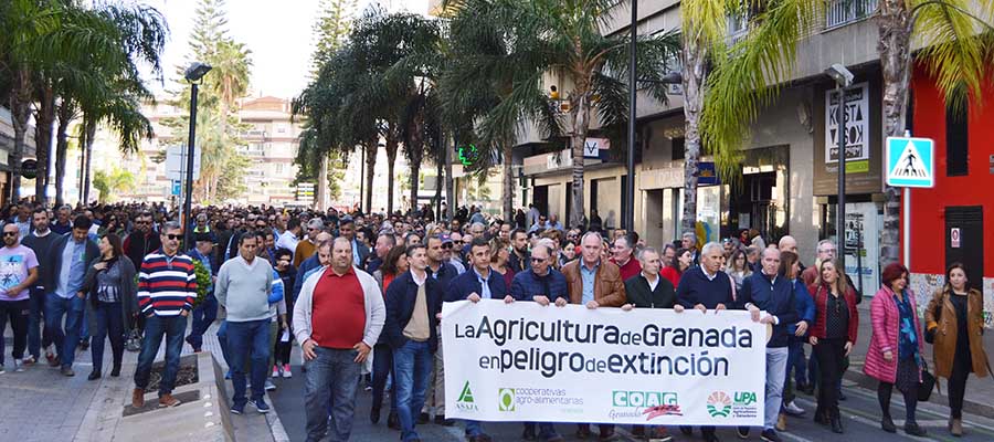 Más de 3.000 agricultores se movilizan en Motril para reclamar medidas estructurales urgentes frente a la crisis de rentabilidad del sector hortofrutícola