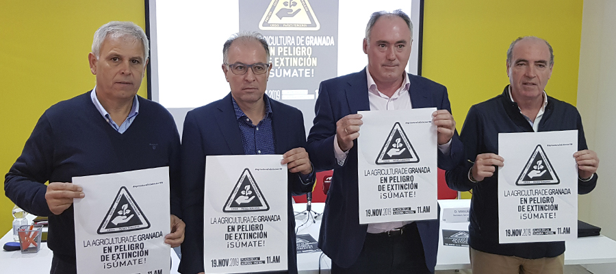 Unión de cooperativas y organizaciones agrarias en la Gran Manifestación convocada el martes 19 de noviembre en Motril por la situación crítica del sector hortofrutícola