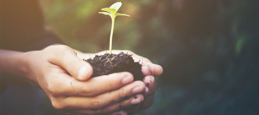 Cooperativas Agro-alimentarias de Granada celebrará la Jornada “El Suelo. Enfoque económico y medio ambiental” y entrega de Premios Zerosion 2018 el jueves 7 de noviembre