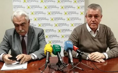 Cooperativas Agro-alimentarias de Jaén denuncia el engaño de la UE al sector productor por la medida “cicatera” de almacenamiento privado de aceite de oliva