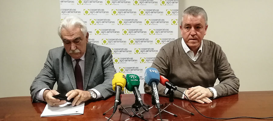 Cooperativas Agro-alimentarias de Jaén denuncia el engaño de la UE al sector productor por la medida “cicatera” de almacenamiento privado de aceite de oliva