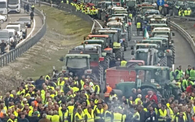 Las organizaciones convocantes califican de “éxito absoluto” las movilizaciones en la provincia de Jaén