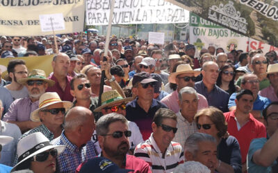 El sector olivarero llama el día 30 de enero a paralizar la provincia de Jaén por la crisis de bajos precios en origen del aceite de oliva