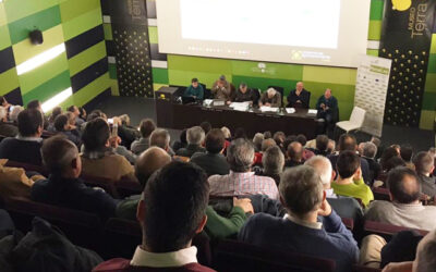 Cooperativas Agro-alimentarias de Andalucía participará activamente en las movilizaciones del sector olivarero que atraviesa una de sus peores crisis