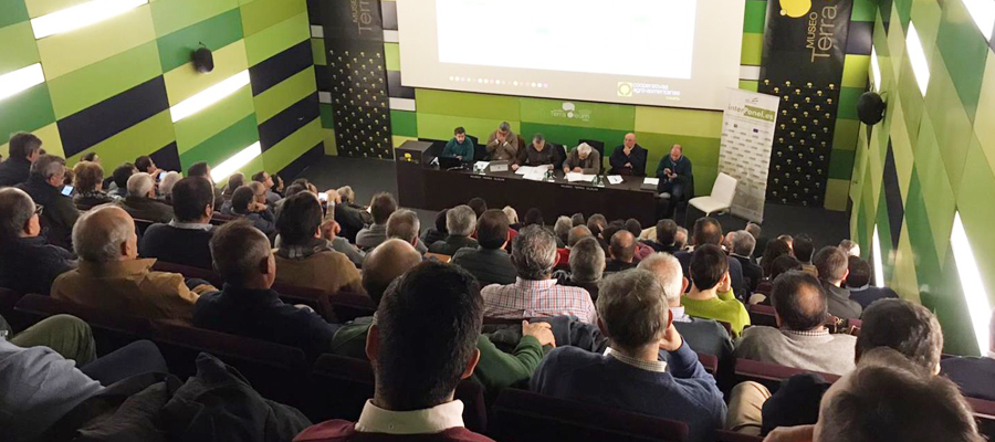 Cooperativas Agro-alimentarias de Andalucía participará activamente en las movilizaciones del sector olivarero que atraviesa una de sus peores crisis