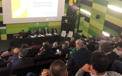 Cooperativas Agro-alimentarias de Andalucía pide un último esfuerzo a las cooperativas oleícolas para lograr la retirada de un total de 200.000 toneladas