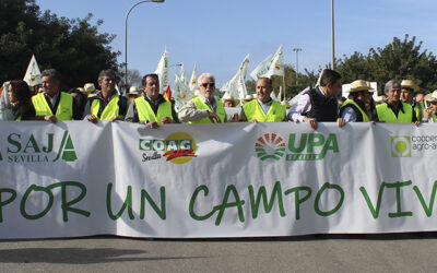 Más de 16.000 personas y 5.000 tractores reclaman en la provincia de Sevilla un campo vivo