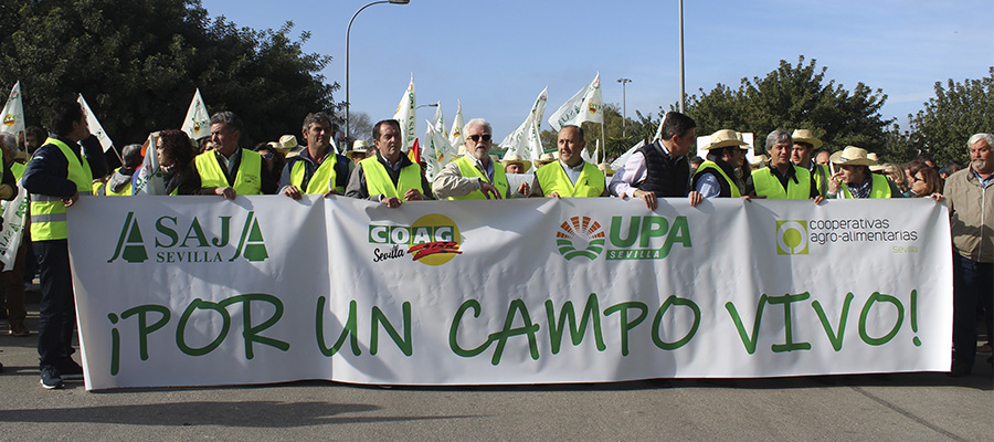 Los agricultores y ganaderos sevillanos salen mañana a las carreteras en demanda de una PAC justa y unos precios dignos