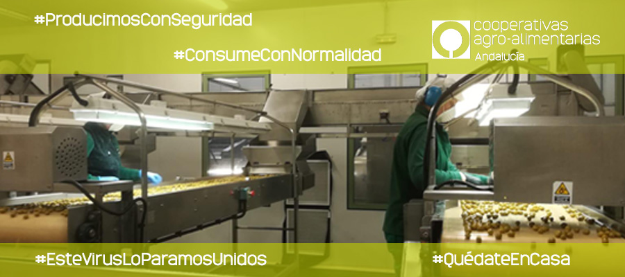 Cooperativas Agro-alimentarias de Andalucía lanza la campaña ‘Producimos con seguridad, consume con normalidad’