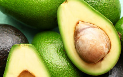 El Grupo Operativo Aguacavalue desarrolla nuevos piensos, nutracéuticos y cosméticos a partir de los coproductos del aguacate