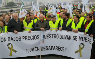 El sector olivarero se manifestará en la Sierra de Segura para exigir unos precios justos para el aceite