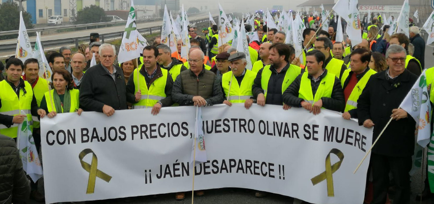 El sector olivarero se manifestará en la Sierra de Segura para exigir unos precios justos para el aceite