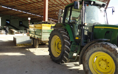 El sector olivarero de Jaén pide a Agricultura prorrogar la plena aplicación del DAT hasta la campaña 2021-2022