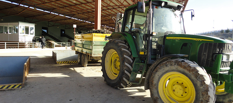 El sector olivarero de Jaén pide a Agricultura prorrogar la plena aplicación del DAT hasta la campaña 2021-2022