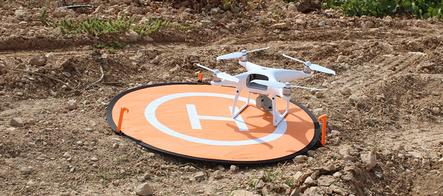 Cooperativas Agro-alimentarias imparte en Huelva curso gratuito de manejo de drones aplicado al sector agrícola