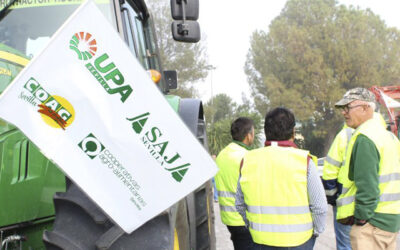 Agricultores y ganaderos se concentrarán el 15 de abril en Sevilla en contra de la convergencia brusca de la PAC