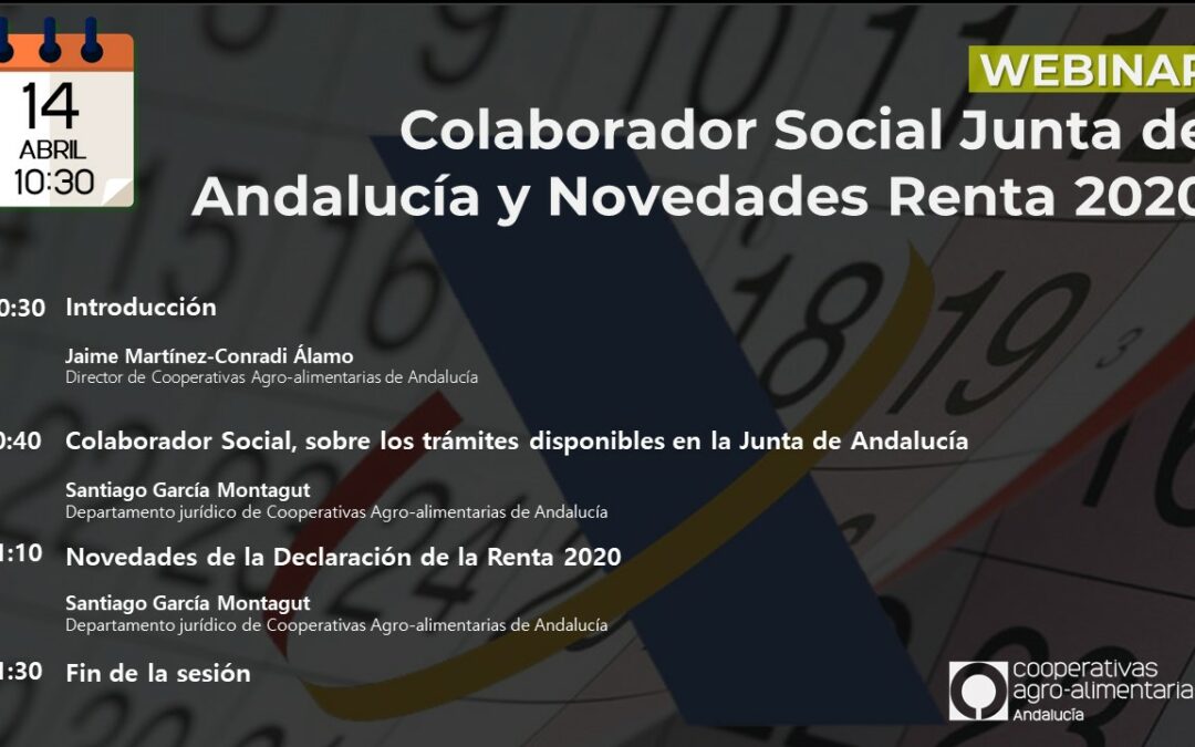 Webinar Colaborador Social Junta de Andalucía y Novedades Renta 2020