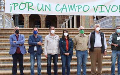 600 agricultores y ganaderos se concentran en la plaza de España de Sevilla en contra de la convergencia brusca de la PAC