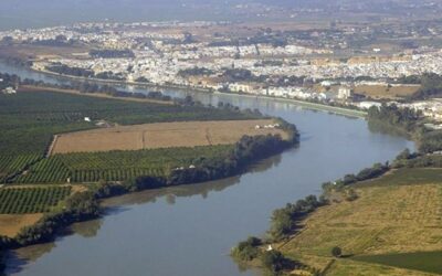 Cooperativas Agro-alimentarias de Andalucía participará activamente en las futuras comisiones de Desembalse de la CHG