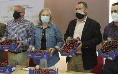Cooperativas Agro-alimentarias de Jaén presenta la campaña de cereza en la provincia