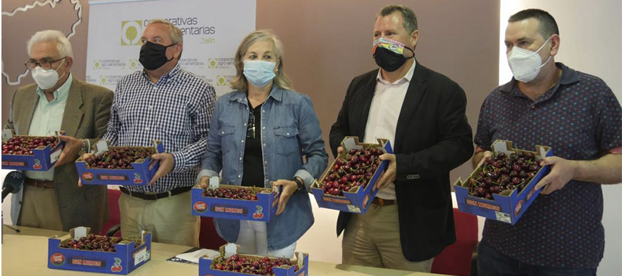 Cooperativas Agro-alimentarias de Jaén presenta la campaña de cereza en la provincia