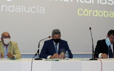 Las cooperativas agroalimentarias de Córdoba se fortalecen en la pandemia y crecen un 3% hasta los 1.376 millones de euros