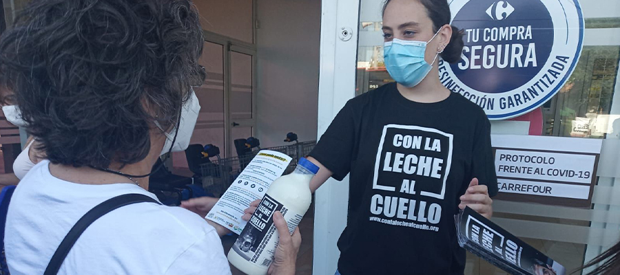 Ganaderos reparten 500 litros de leche en protesta por los bajos precios