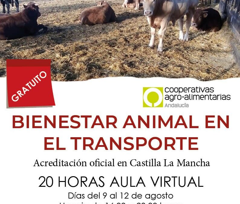 Curso bienestar animal