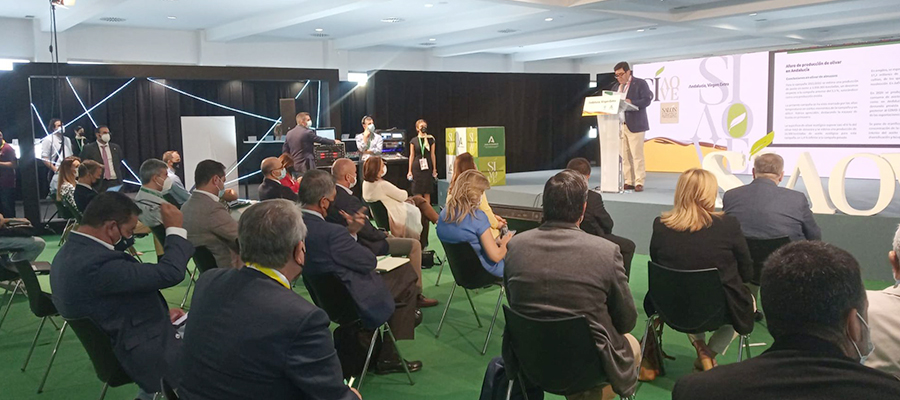 El aforo de aceite de oliva de la Junta para la campaña 2021-2022 ratifica las estimaciones de Cooperativas Agro-alimentarias