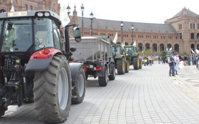 25 de febrero: Paro general agrario en Andalucía y gran manifestación en Sevilla