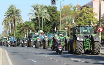 Un millar de vehículos claman en Sevilla por una PAC justa para los agricultores y los ganaderos de Andalucía