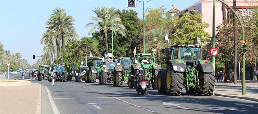 Un millar de vehículos claman en Sevilla por una PAC justa para los agricultores y los ganaderos de Andalucía