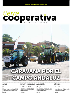 Revista Nº114