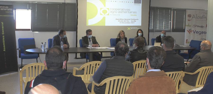 Cooperativas Agro-alimentarias de Sevilla reivindica la riqueza rural que genera la economía social agraria en la provincia