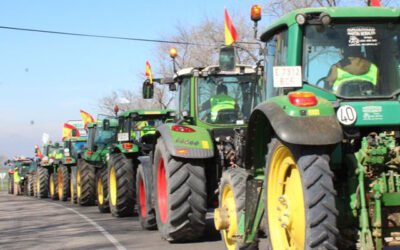 Cooperativas Agro-alimentarias de Andalucía lamenta el desdén del Ministerio de Agricultura hacia el principal territorio agrario al perpetrar en Bruselas su Plan Estratégico de la PAC