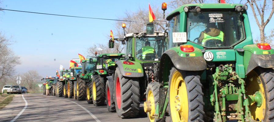 Cooperativas Agro-alimentarias de Andalucía lamenta el desdén del Ministerio de Agricultura hacia el principal territorio agrario al perpetrar en Bruselas su Plan Estratégico de la PAC