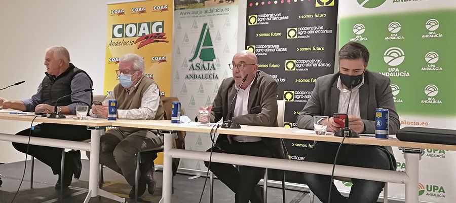 El sector agrario andaluz retoma con fuerza las movilizaciones por el varapalo de la PAC, la grave crisis de precios y la insoportable subida de los costes de producción