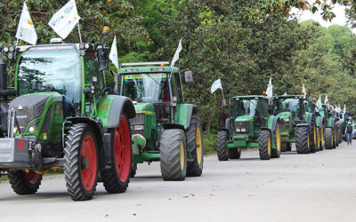 Los agricultores y ganaderos sevillanos saldrán el viernes a las carreteras en demanda de una PAC justa y unos precios dignos