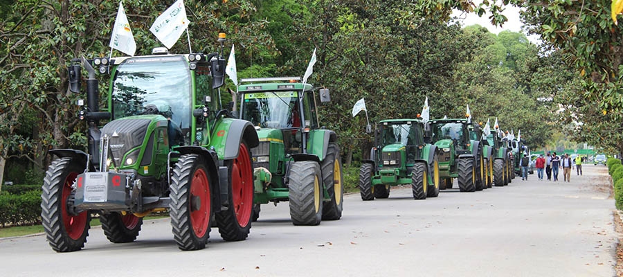 Los agricultores y ganaderos sevillanos saldrán el viernes a las carreteras en demanda de una PAC justa y unos precios dignos