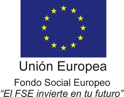 LOGO FSE