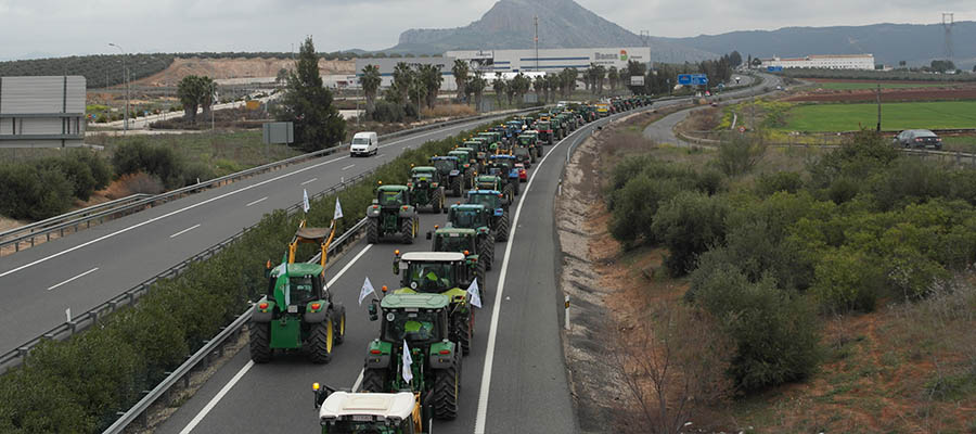 El sector agrario malagueño, en unidad de acción, convoca una tractorada el 3 de marzo