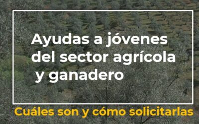 Webinar Ayudas a jóvenes del sector agrícola y ganadero