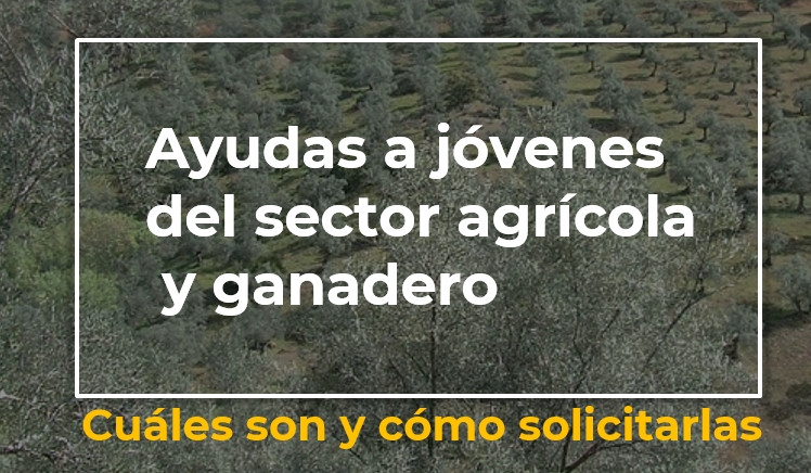 Webinar Ayudas a jóvenes del sector agrícola y ganadero