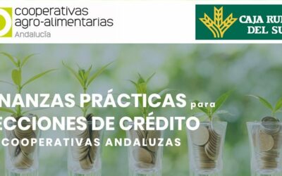 Curso Finanzas prácticas para secciones de crédito