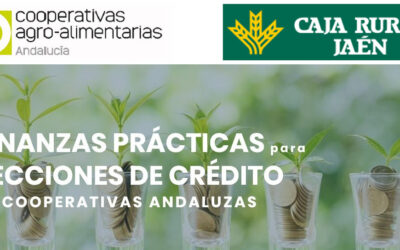 Curso Finanzas prácticas para secciones de crédito Jaén