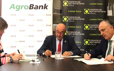 Acuerdo entre CaixaBank y Cooperativas Agro-alimentarias de Andalucía para financiar la transformación y modernización del cultivo del olivar