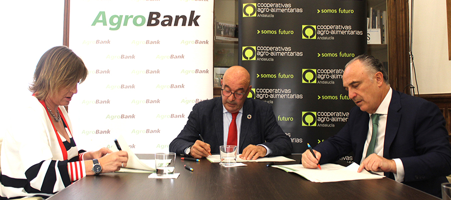 Acuerdo entre CaixaBank y Cooperativas Agro-alimentarias de Andalucía para financiar la transformación y modernización del cultivo del olivar