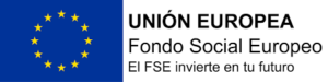 Logo FSE